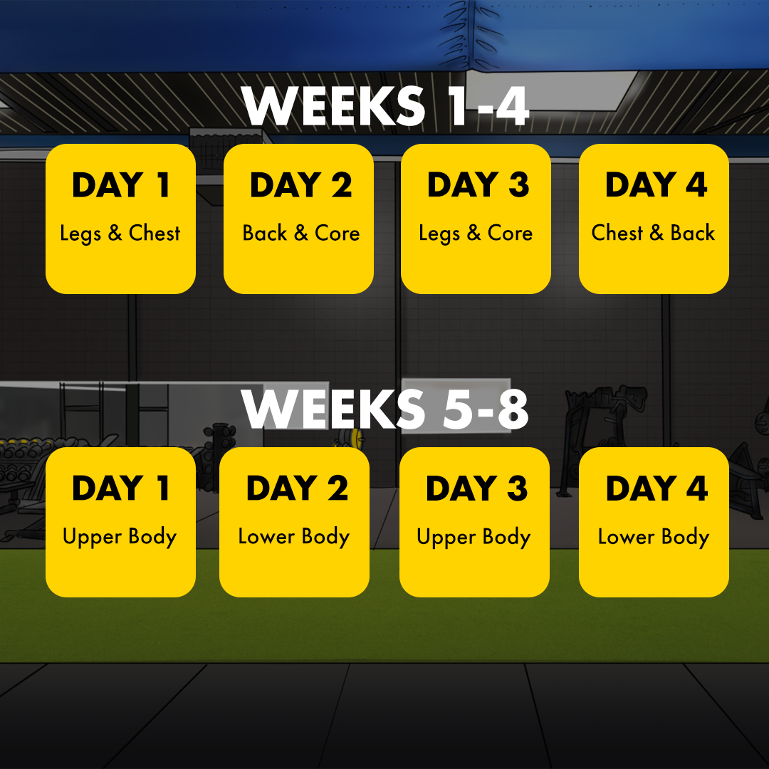 Workout program to build muscle hotsell